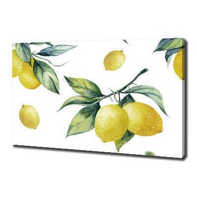Foto quadro su tela Limoni