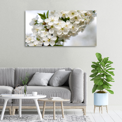 Quadro stampa su tela Fiori di ciliegio