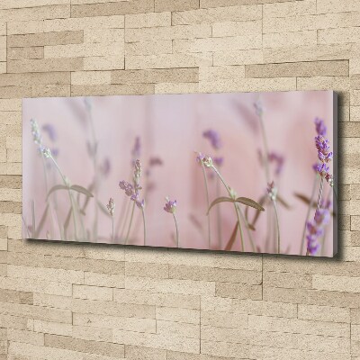 Quadro stampa su tela Lavanda