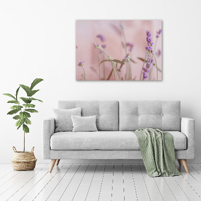 Quadro stampa su tela Lavanda