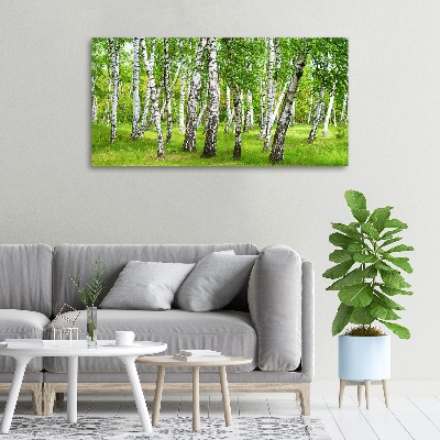 Quadro stampa su tela Foresta di betulle