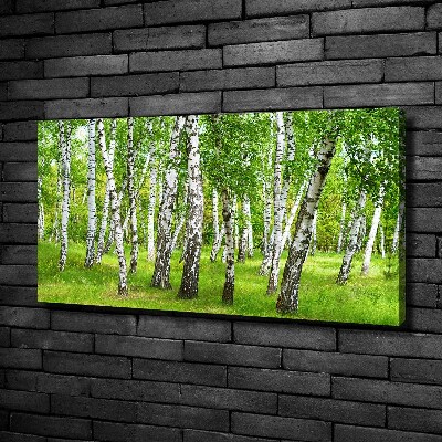 Quadro stampa su tela Foresta di betulle