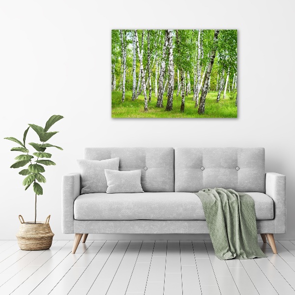 Quadro stampa su tela Foresta di betulle