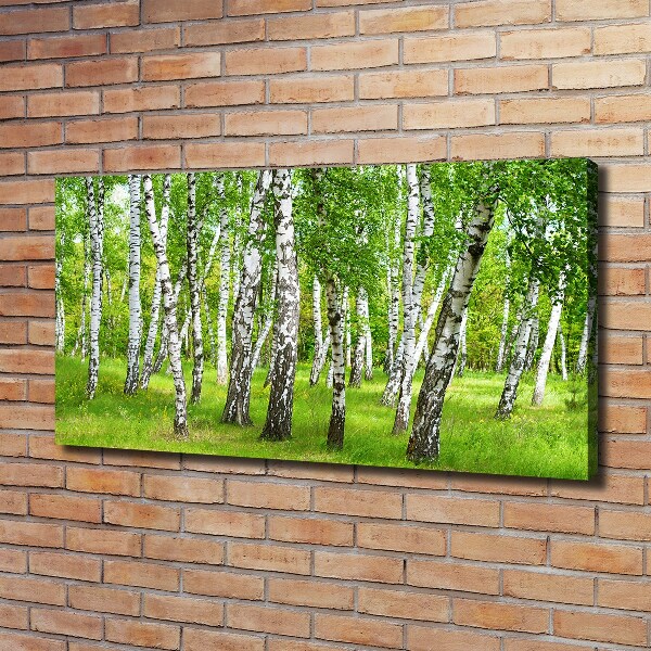 Quadro stampa su tela Foresta di betulle