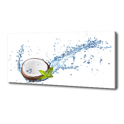 Quadro stampa su tela Cocco e acqua