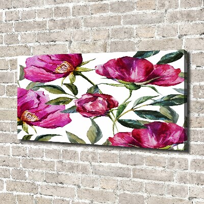 Quadro stampa su tela Peonie rosa