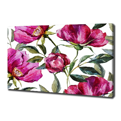 Quadro stampa su tela Peonie rosa