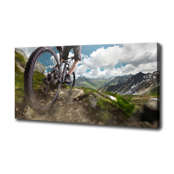 Quadro su tela Mountain bike