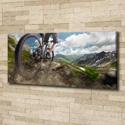 Quadro su tela Mountain bike
