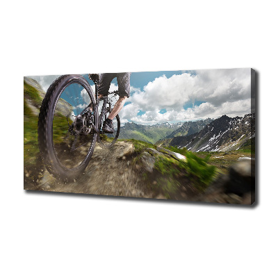 Quadro su tela Mountain bike
