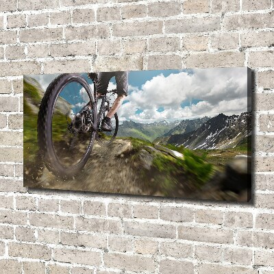 Quadro su tela Mountain bike