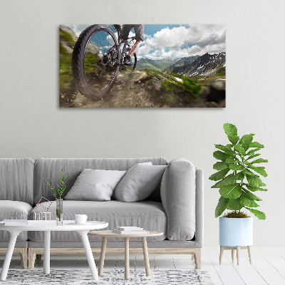 Quadro su tela Mountain bike