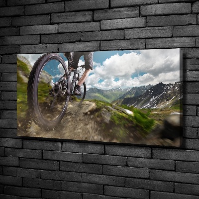 Quadro su tela Mountain bike