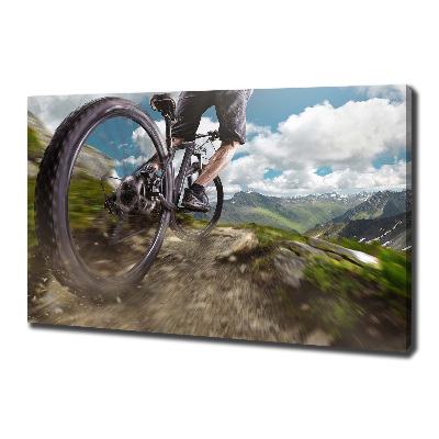 Quadro su tela Mountain bike