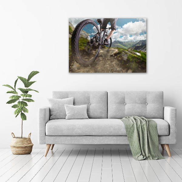Quadro su tela Mountain bike