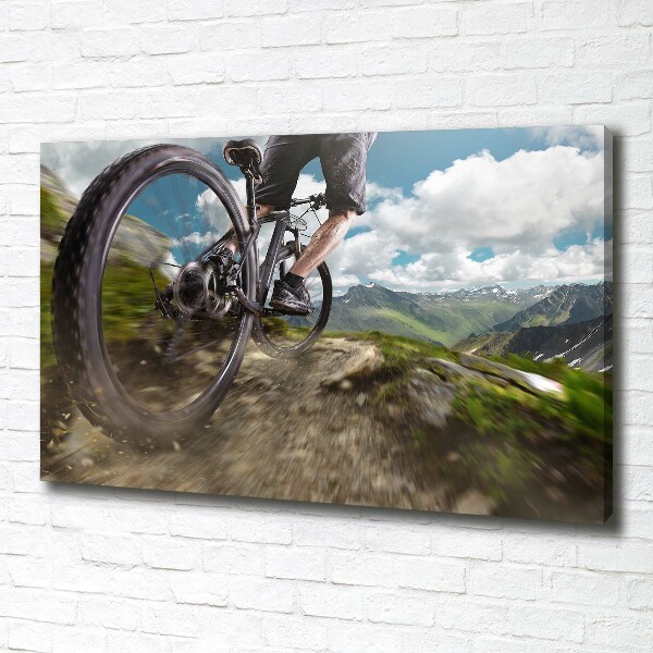 Quadro su tela Mountain bike