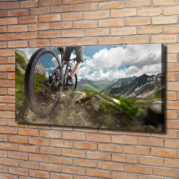 Quadro su tela Mountain bike