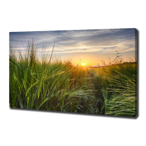Quadro stampa su tela Campo di grano