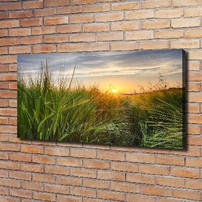 Quadro stampa su tela Campo di grano