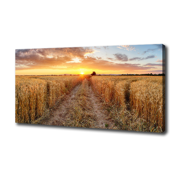 Quadro su tela Campo di grano