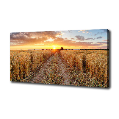 Quadro su tela Campo di grano