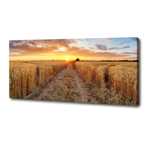 Quadro su tela Campo di grano