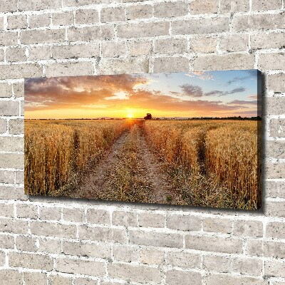 Quadro su tela Campo di grano