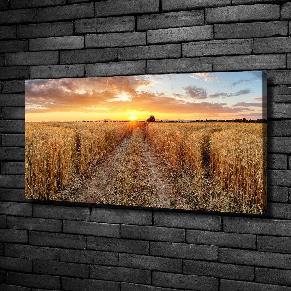 Quadro su tela Campo di grano