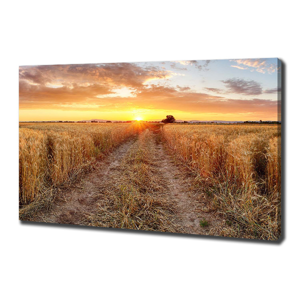 Quadro su tela Campo di grano