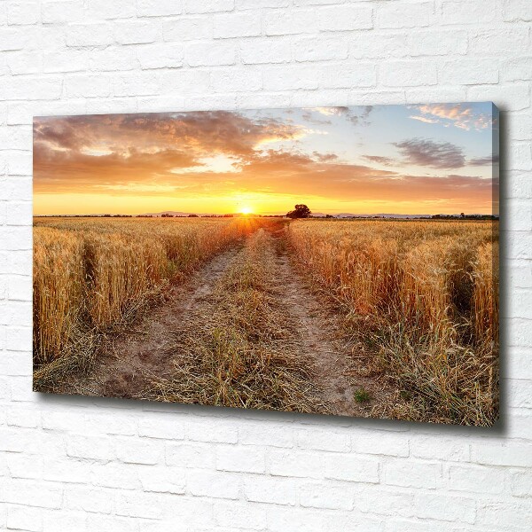 Quadro su tela Campo di grano
