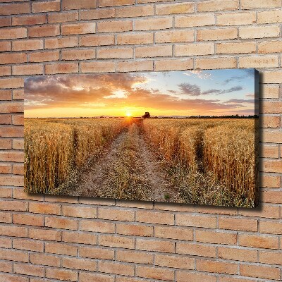Quadro su tela Campo di grano