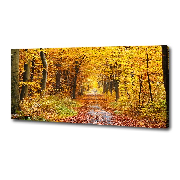 Quadro stampa su tela Foresta in autunno