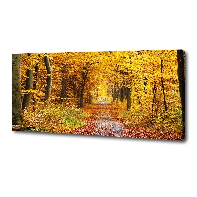 Quadro stampa su tela Foresta in autunno