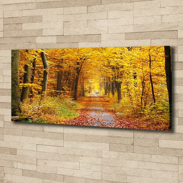 Quadro stampa su tela Foresta in autunno