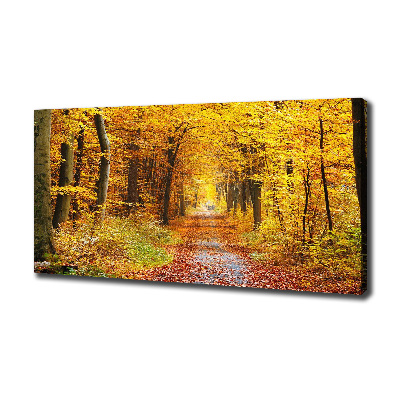 Quadro stampa su tela Foresta in autunno