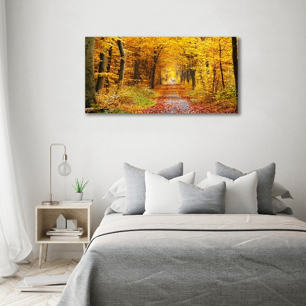 Quadro stampa su tela Foresta in autunno