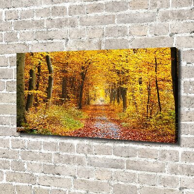 Quadro stampa su tela Foresta in autunno