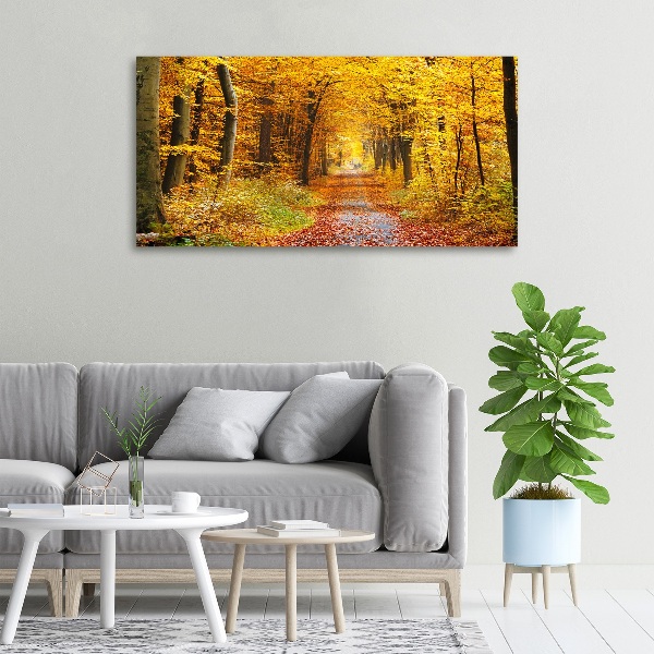 Quadro stampa su tela Foresta in autunno