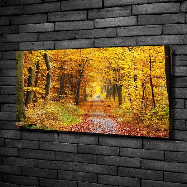 Quadro stampa su tela Foresta in autunno