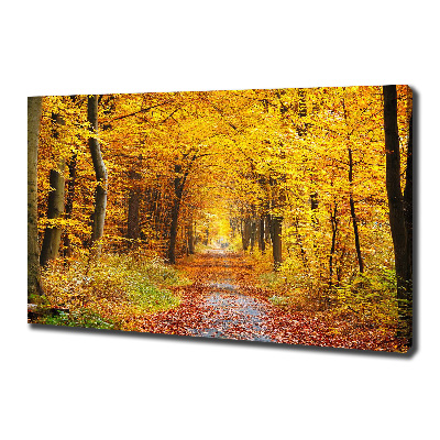 Quadro stampa su tela Foresta in autunno