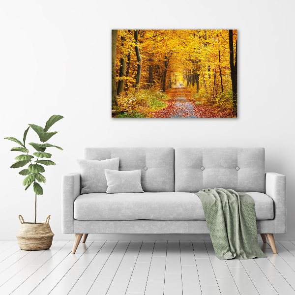 Quadro stampa su tela Foresta in autunno
