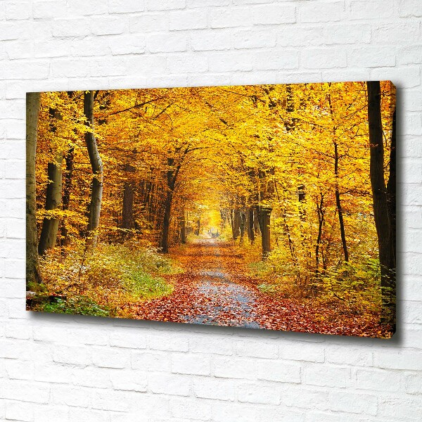 Quadro stampa su tela Foresta in autunno