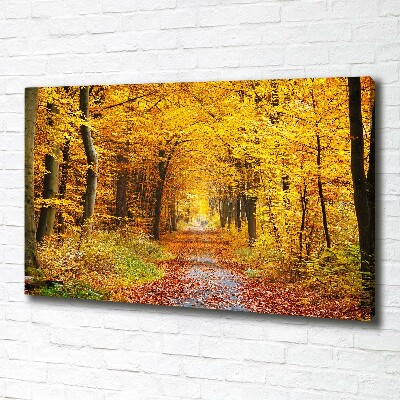 Quadro stampa su tela Foresta in autunno