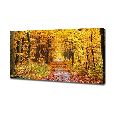 Quadro stampa su tela Foresta in autunno