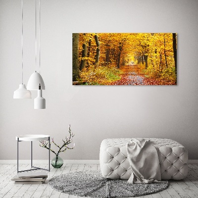 Quadro stampa su tela Foresta in autunno