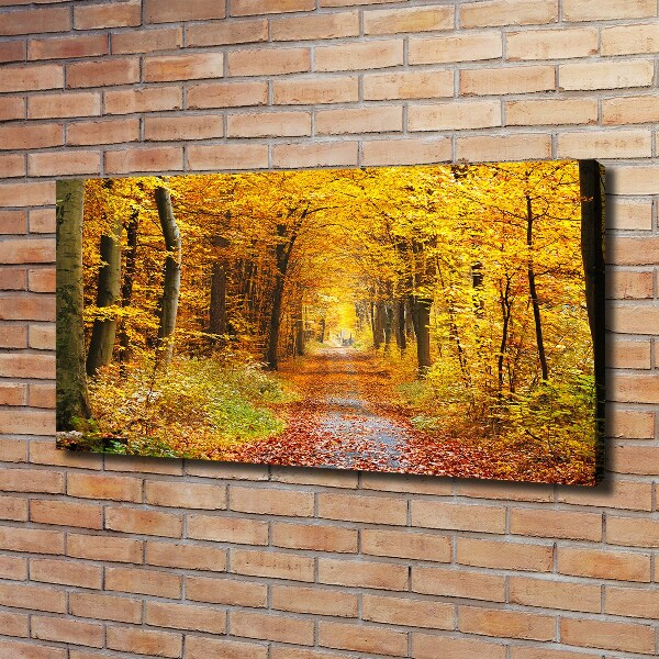 Quadro stampa su tela Foresta in autunno
