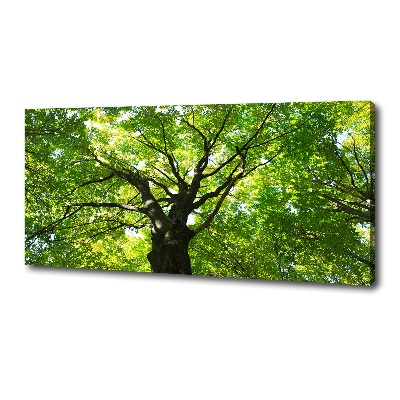 Quadro stampa su tela Foresta verde