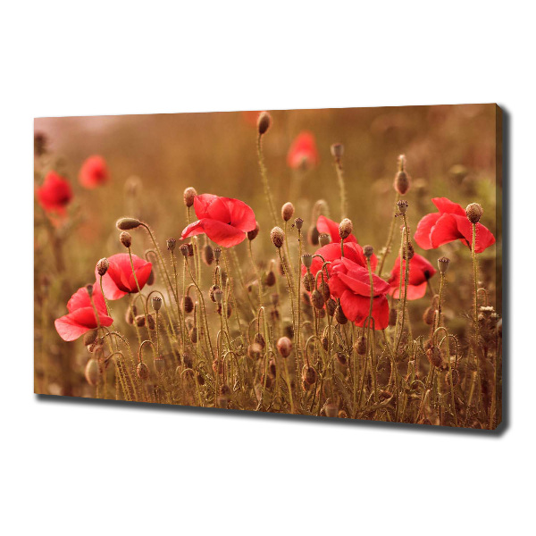 Quadro su tela Trittico dei papaveri