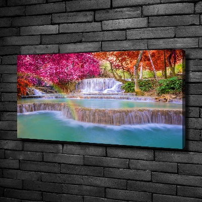 Foto quadro su tela Cascata nella foresta