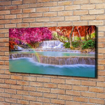 Foto quadro su tela Cascata nella foresta